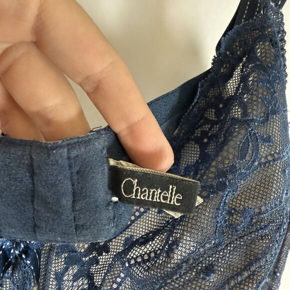 Chantelle Bra Women's 38DDD Blue Floral Lace Hook Eye Mesh Back Adjustable - Picture 4 of 12